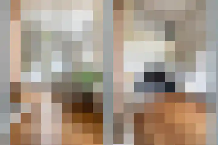 Kometenlaan 8 Maartensdijk thumbnail 17