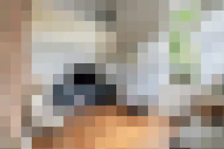 Kometenlaan 8 Maartensdijk thumbnail 18