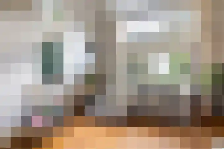 Kometenlaan 8 Maartensdijk thumbnail 20