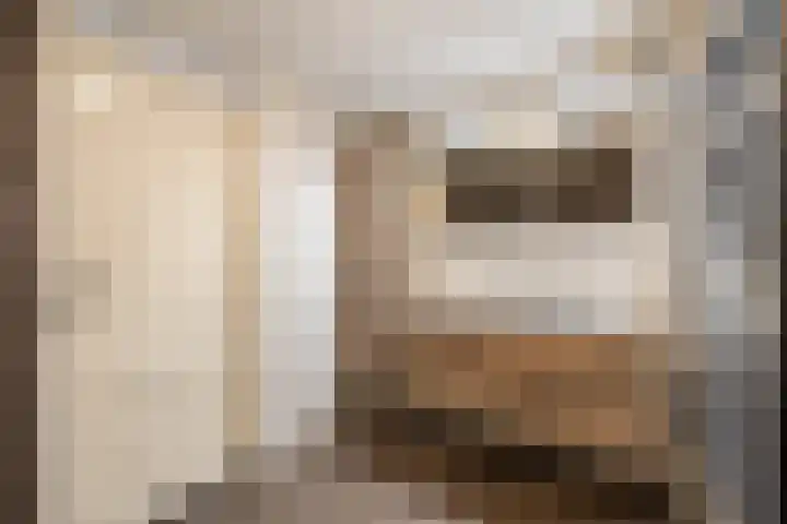 Kometenlaan 8 Maartensdijk thumbnail 32