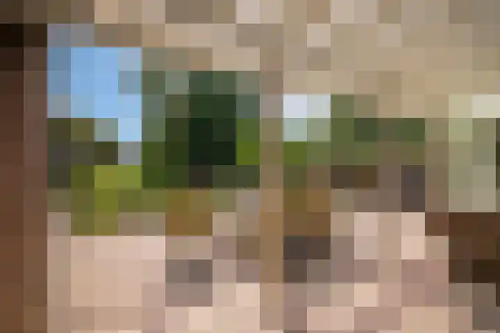 Kometenlaan 8 Maartensdijk thumbnail 4