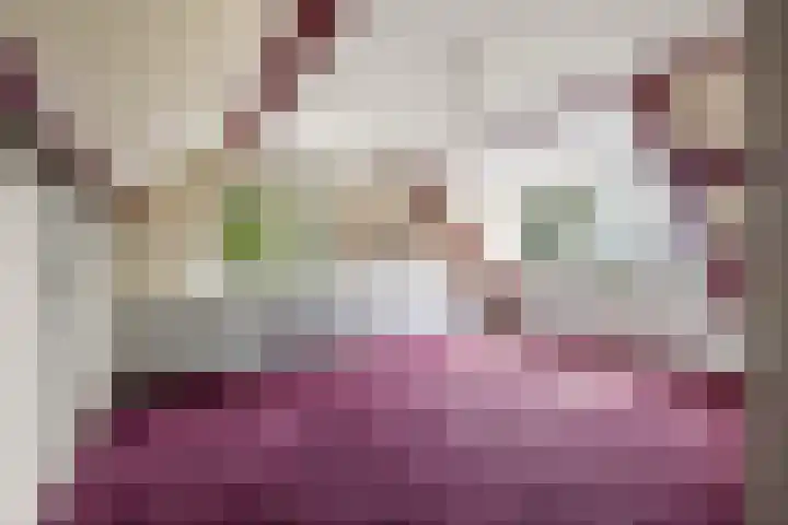 Kometenlaan 8 Maartensdijk thumbnail 40