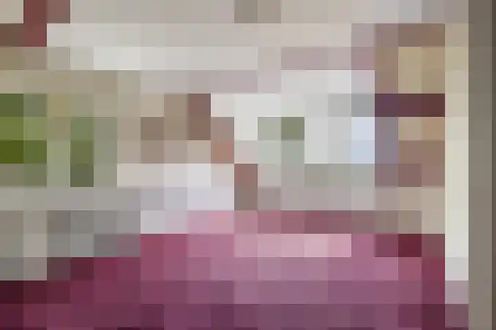 Kometenlaan 8 Maartensdijk thumbnail 41