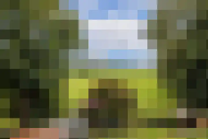 Kometenlaan 8 Maartensdijk thumbnail 42