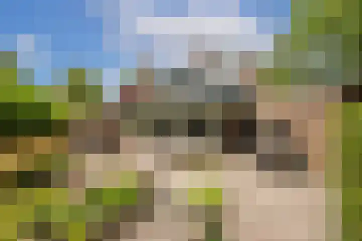 Kometenlaan 8 Maartensdijk thumbnail 47