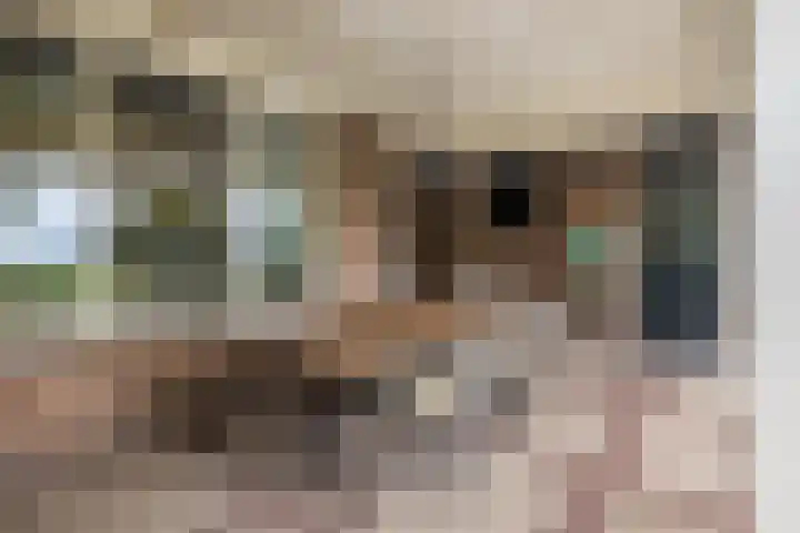 Kometenlaan 8 Maartensdijk thumbnail 49