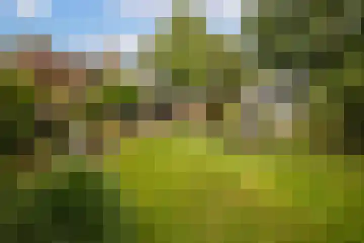 Kometenlaan 8 Maartensdijk thumbnail 5