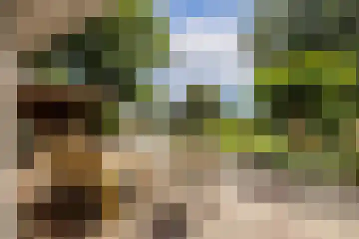 Kometenlaan 8 Maartensdijk thumbnail 50