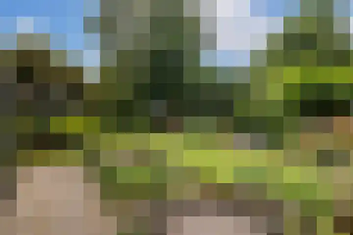 Kometenlaan 8 Maartensdijk thumbnail 51