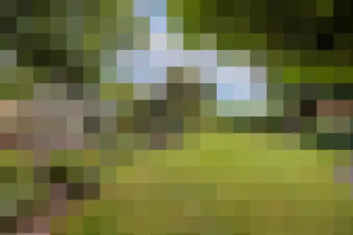 Kometenlaan 8 Maartensdijk thumbnail 52