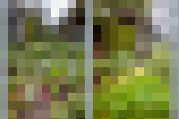 Kometenlaan 8 Maartensdijk thumbnail 53