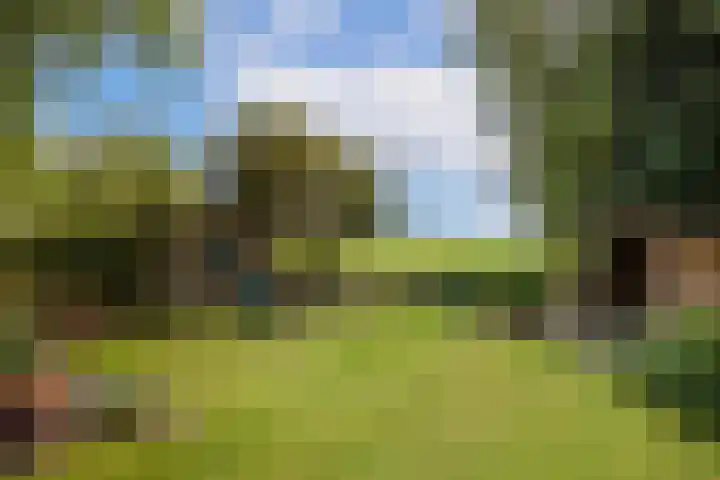Kometenlaan 8 Maartensdijk thumbnail 54