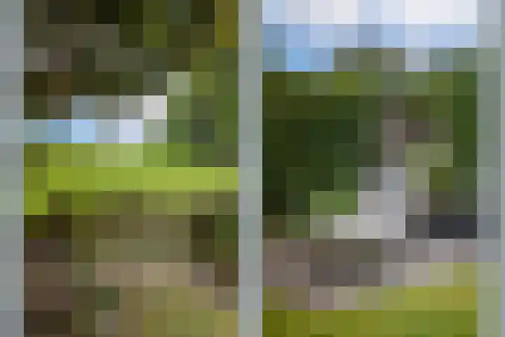 Kometenlaan 8 Maartensdijk thumbnail 55