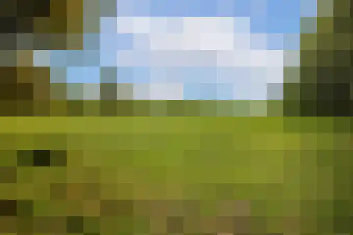 Kometenlaan 8 Maartensdijk thumbnail 56