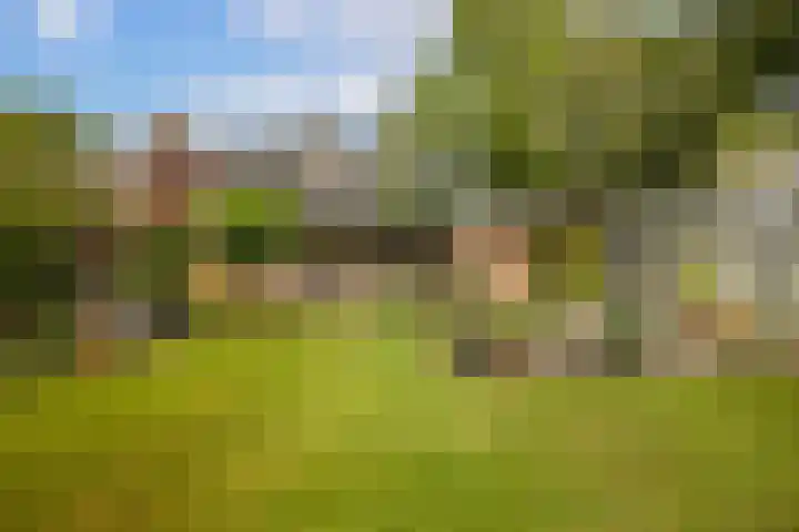 Kometenlaan 8 Maartensdijk thumbnail 57