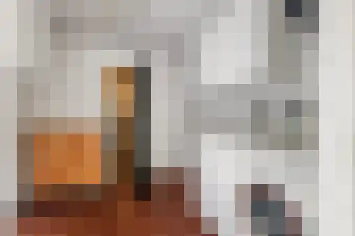 Kometenlaan 8 Maartensdijk thumbnail 58