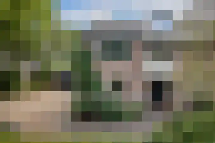 Kometenlaan 8 Maartensdijk thumbnail 7