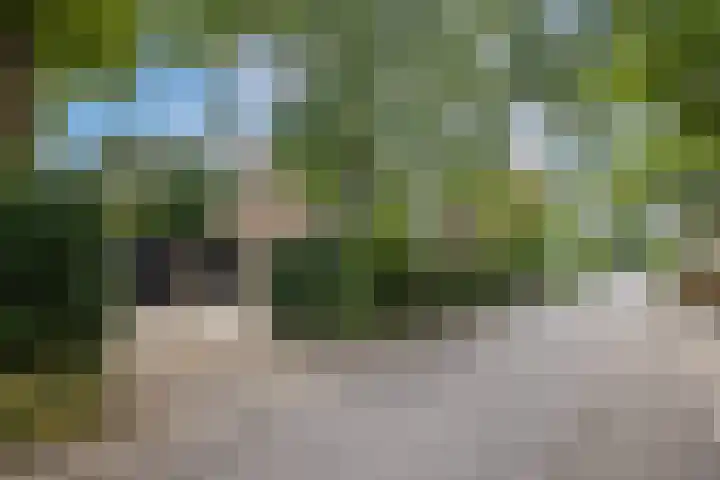 Kometenlaan 8 Maartensdijk thumbnail 8