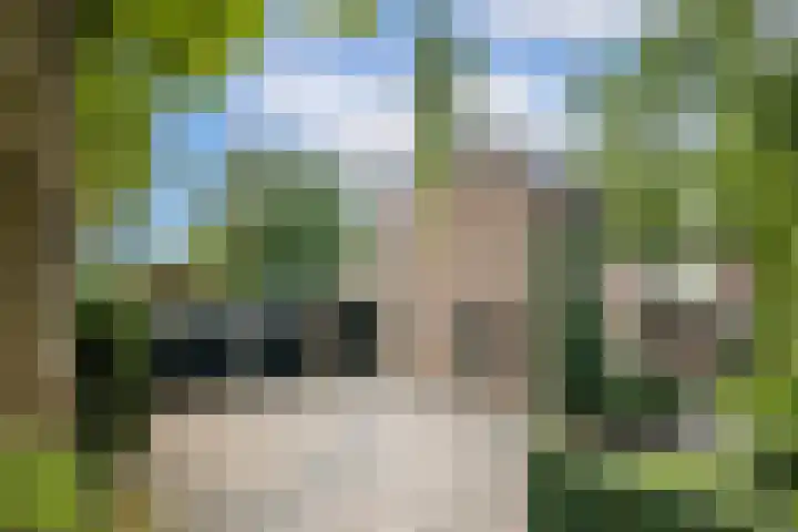 Kometenlaan 8 Maartensdijk thumbnail 9