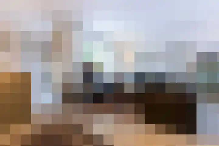 Kometenlaan 9 Bergen op Zoom thumbnail 11