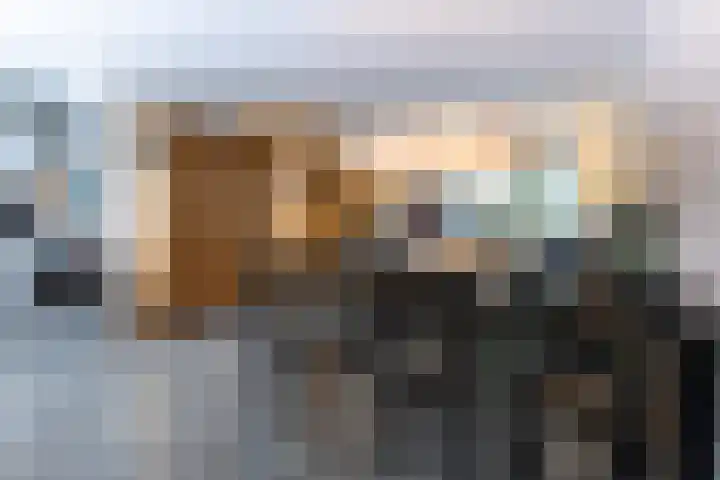 Kometenlaan 9 Bergen op Zoom thumbnail 12