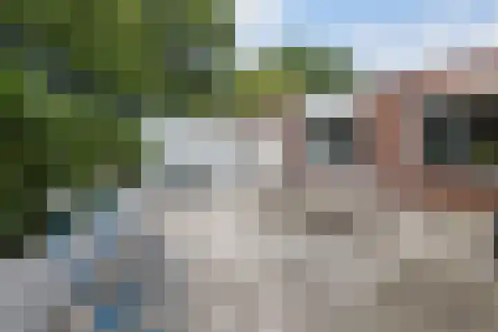 Kometenlaan 9 Bergen op Zoom thumbnail 19