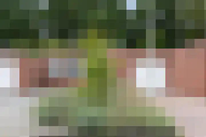 Kometenlaan 9 Bergen op Zoom thumbnail 22