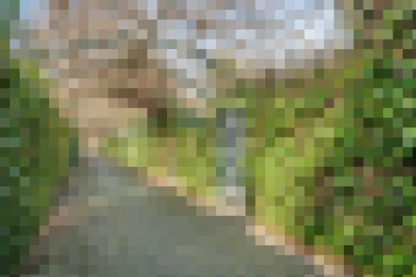 Kometenlaan 93 Huis ter Heide thumbnail 46