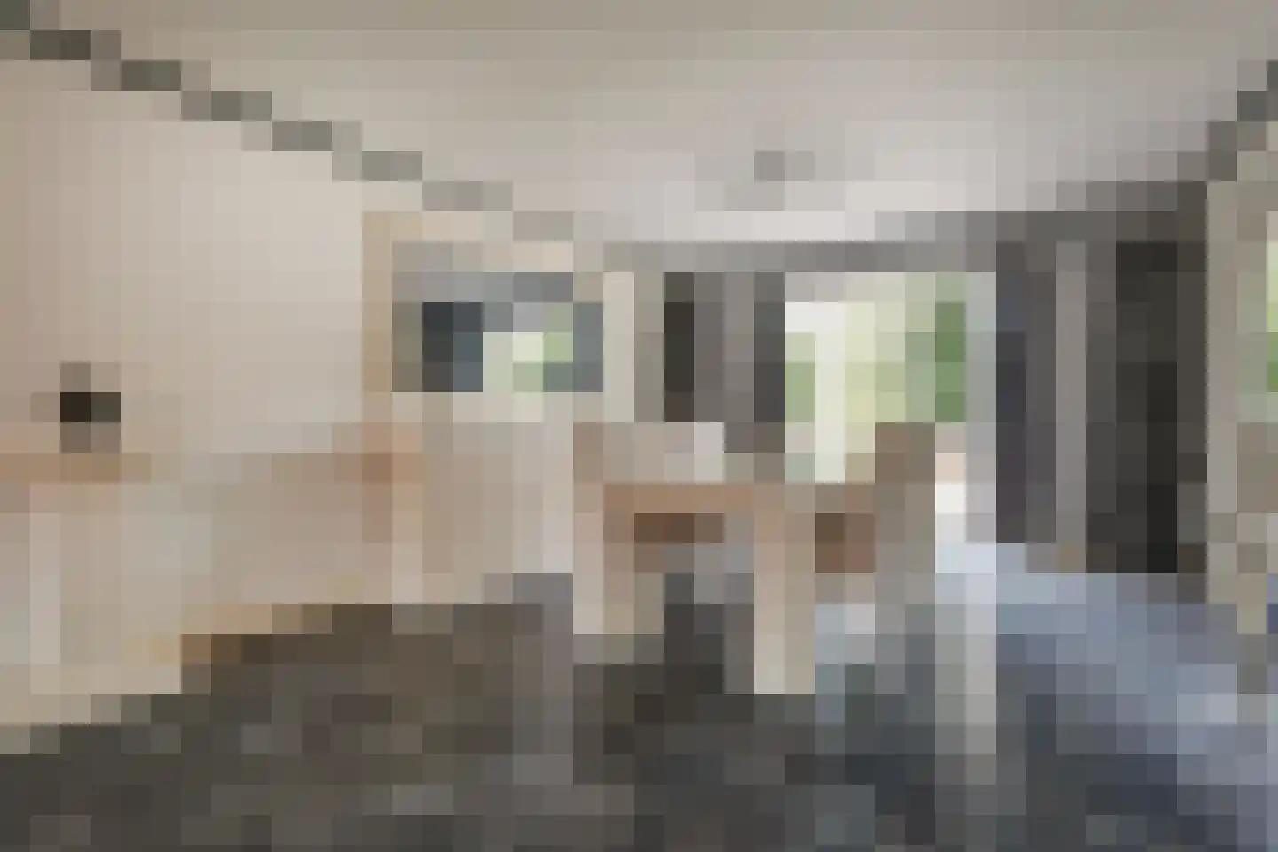Kometensingel 114 1 Amsterdam thumbnail 11