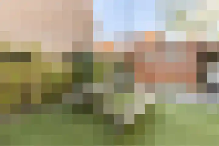 Kometensingel 251 Amsterdam thumbnail 22