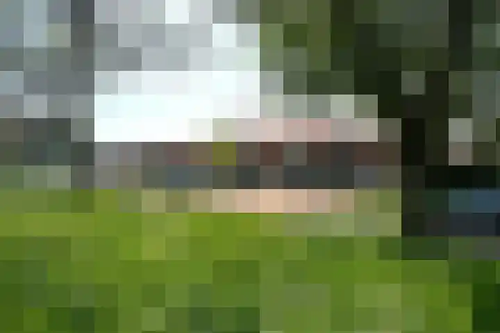 Kometensingel 251 Amsterdam thumbnail 27