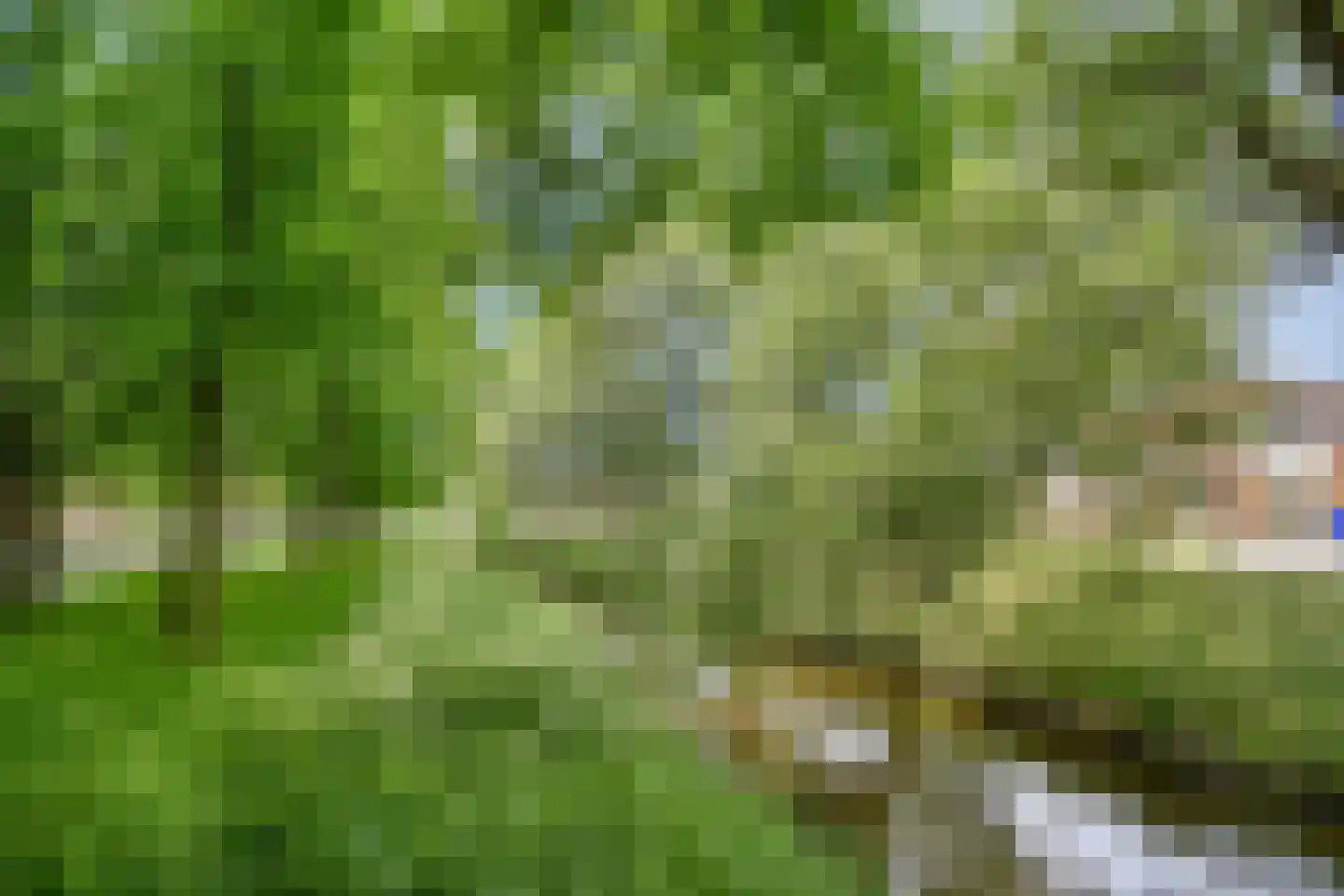 Kometensingel 295 Amsterdam thumbnail 24