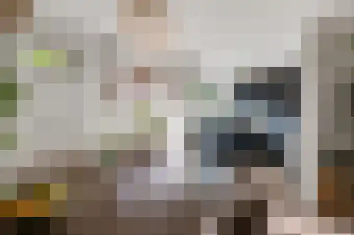 Kometensingel 313 Amsterdam thumbnail 12