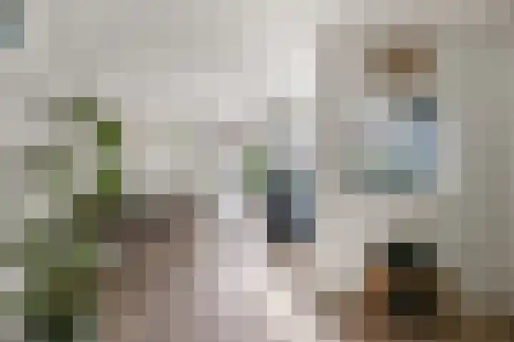 Kometensingel 313 Amsterdam thumbnail 13