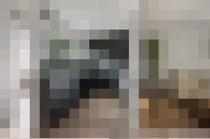 Kometensingel 313 Amsterdam thumbnail 18