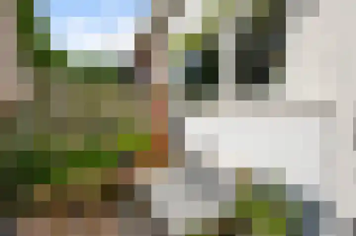 Kometensingel 313 Amsterdam thumbnail 19
