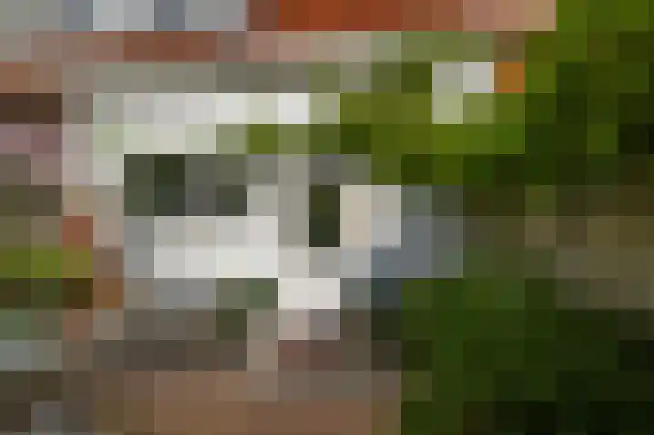 Kometensingel 313 Amsterdam thumbnail 20