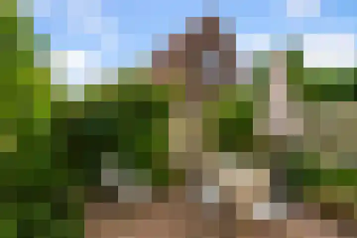 Kometensingel 313 Amsterdam thumbnail 22