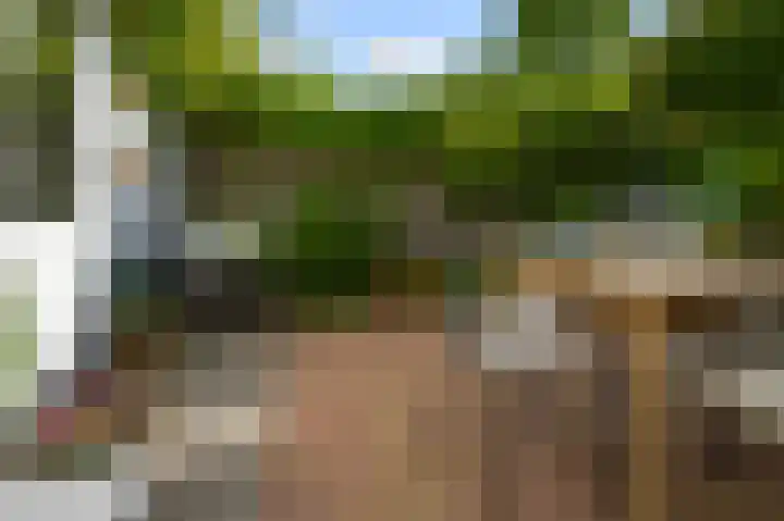 Kometensingel 313 Amsterdam thumbnail 23