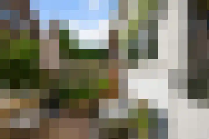 Kometensingel 313 Amsterdam thumbnail 24