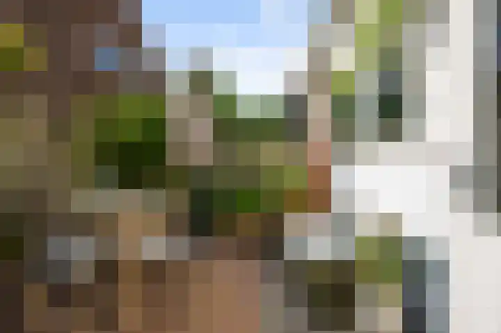 Kometensingel 313 Amsterdam thumbnail 26