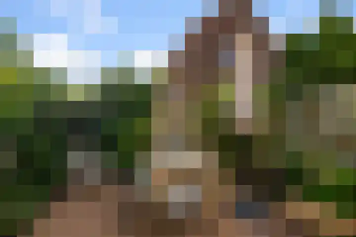 Kometensingel 313 Amsterdam thumbnail 27