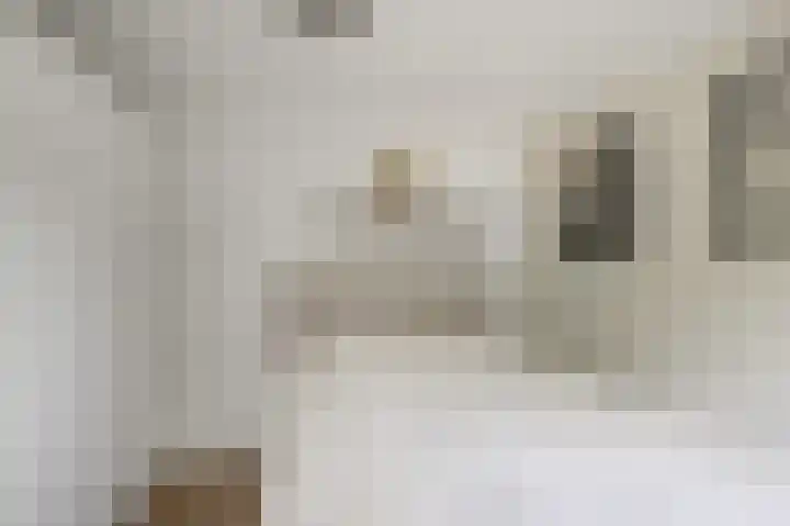 Kometensingel 313 Amsterdam thumbnail 31