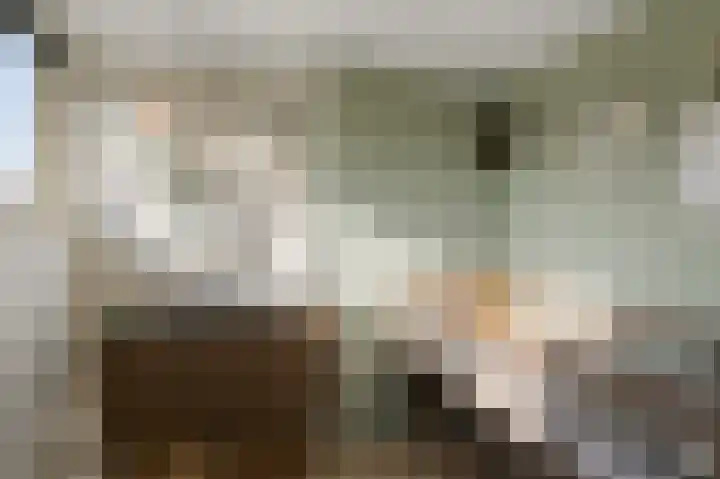 Kometensingel 313 Amsterdam thumbnail 34