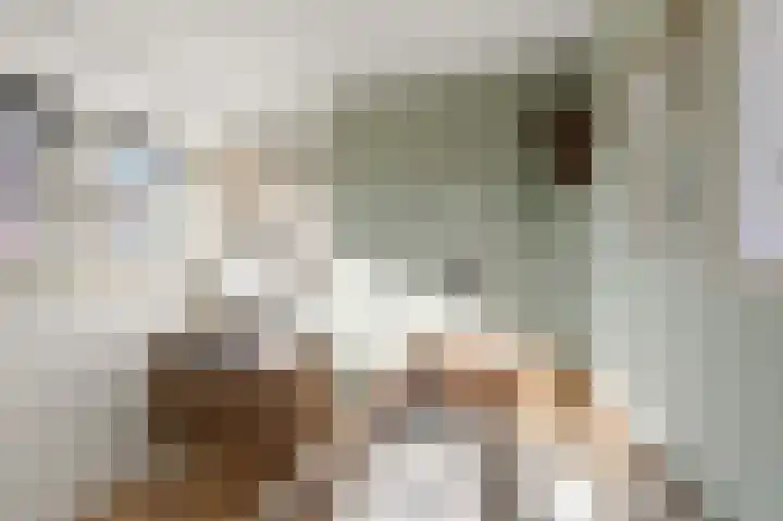 Kometensingel 313 Amsterdam thumbnail 37