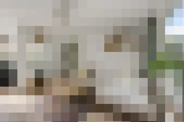 Kometensingel 313 Amsterdam thumbnail 4