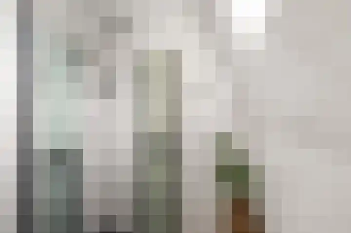 Kometensingel 313 Amsterdam thumbnail 42