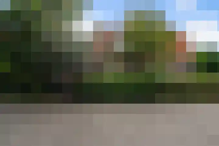 Kometensingel 313 Amsterdam thumbnail 43