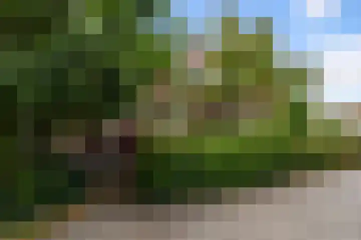 Kometensingel 313 Amsterdam thumbnail 44