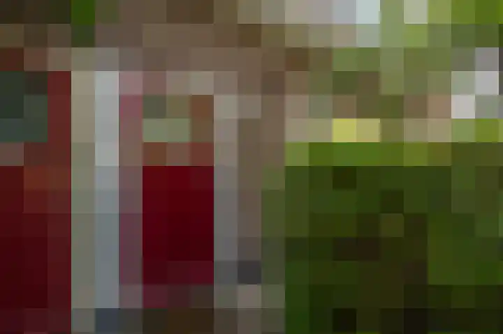 Kometensingel 313 Amsterdam thumbnail 45